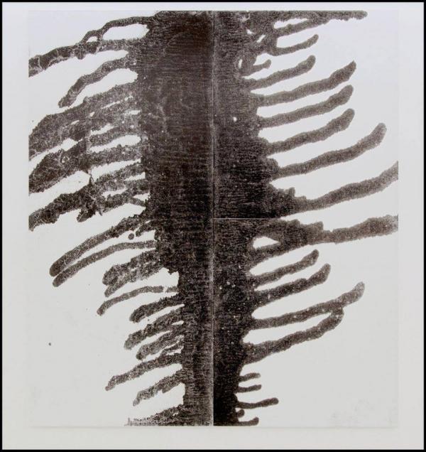 Christopher Wool