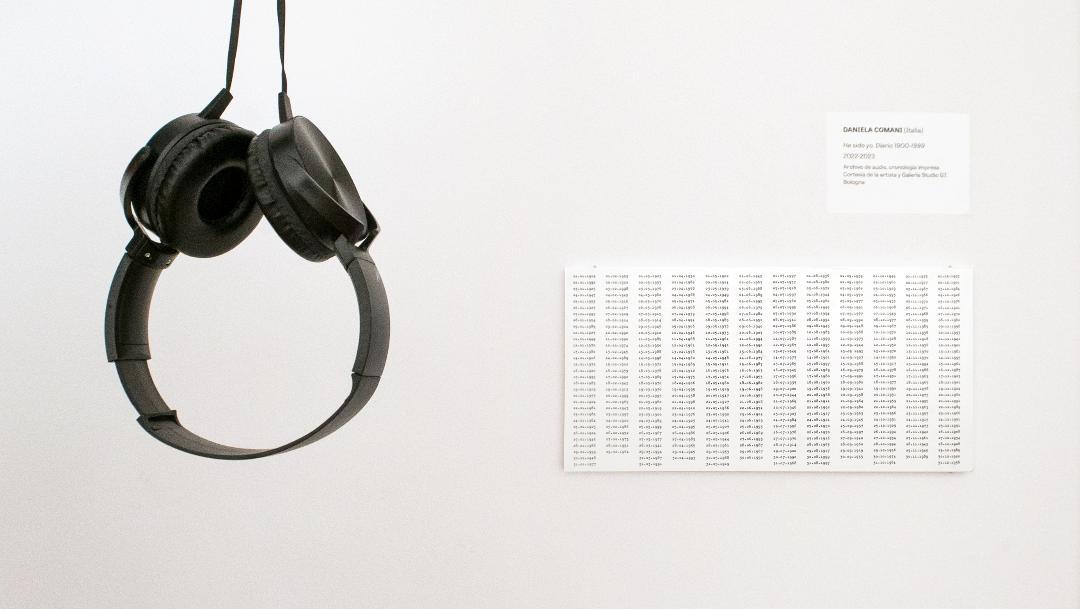 Daniela Comani – Supporto memoria / Memory device